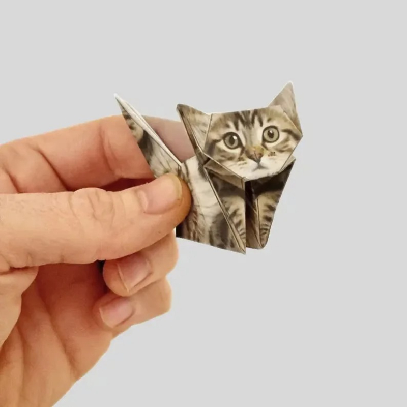 Креативный набор для творчеств – обзор и цена Art Craft Cat